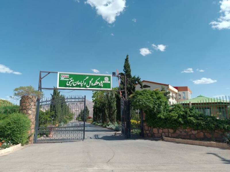 حال پژوهشکده گل و گیاهان زینتی محلات تعریفی ندارد